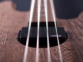 handmade-guitars-TigrisB6
